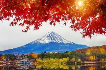 TOUR NHẬT BẢN: TOKYO – ASHIKAGA – FUJI – NAGOYA – KYOTO - OSAKA