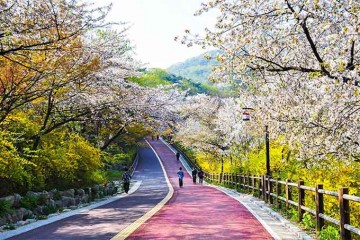 TOUR HÀN QUỐC: MÙA THU HÀN QUỐC - CÔNG VIÊN EVERLAND – RỪNG SEOUL – ĐẢO NAMI