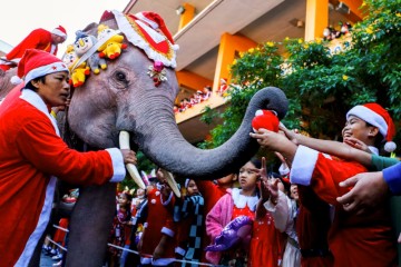 TOUR THÁI LAN: BANGKOK - PATTAYA